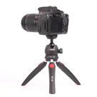 سه پایه دوربین جیماری Jmary MT 35 Mini Tripod