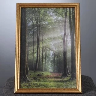 قاب طلایی 40*30